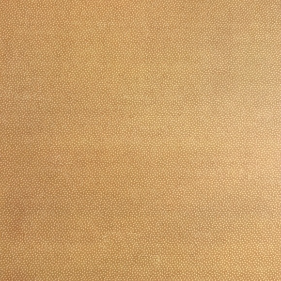 Autumn Theme Card Stock Scrapbook Paper! 12x12 Premium Card Stock! - Picture 9 of 17